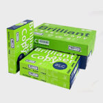 blc-paper